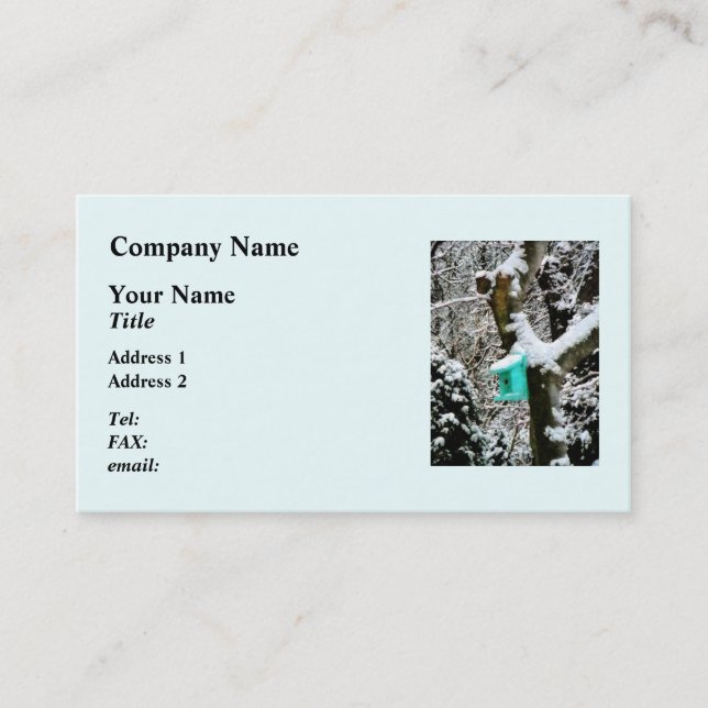 Carte De Visite Birdhouse Turquoise en hiver (Devant)