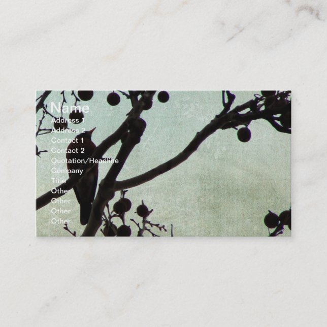 Carte De Visite Birdie 3 (Devant)