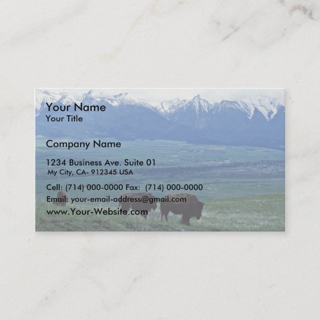 Carte De Visite Bison (Devant)