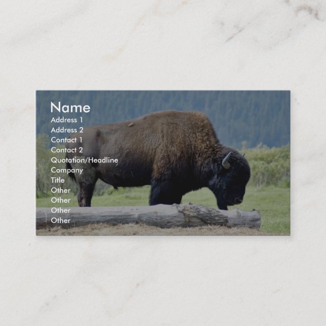 Carte De Visite Bison (Devant)