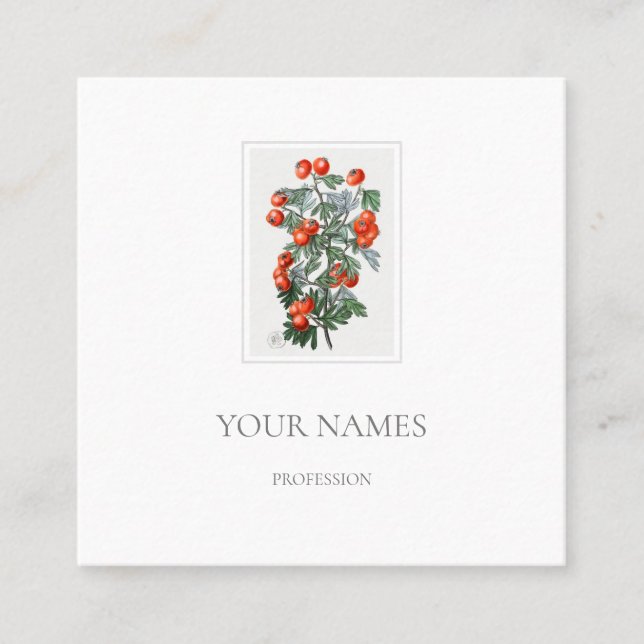CARTE DE VISITE BLANC BOTANIQUE "HAWTHORN" (Devant)