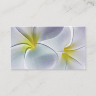 Carte De Visite Blanc customisé par fleur d'Hawaï de Frangipani 