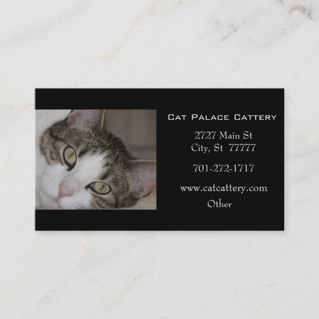 Carte de visite blanc de chat tigré (Devant)