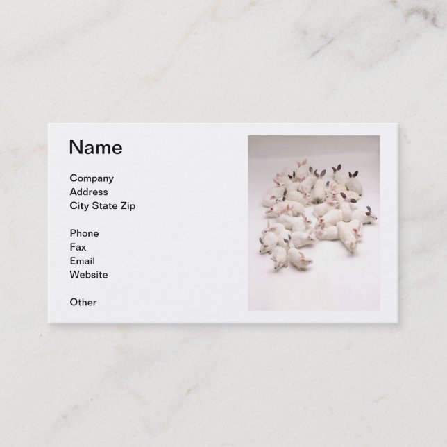 Carte de visite blanc de lapins (Devant)