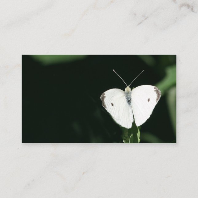 carte de visite blanc de papillon (Devant)