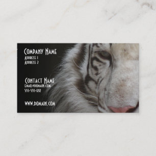 Carte de visite blanc de tigre