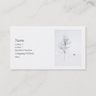 Carte De Visite Blanc d'hiver
