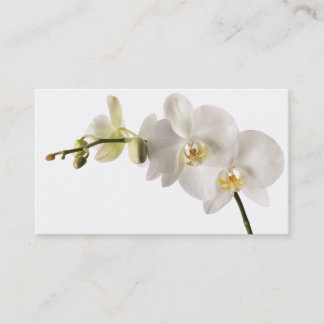 Carte De Visite Blanc floral de Dendrobium d'orchidée de jet blanc