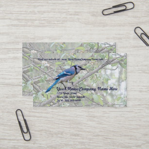 Carte De Visite Bleu Jay Songbird