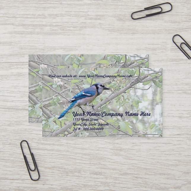 Carte De Visite Bleu Jay Songbird (Devant/Arrière en situation)