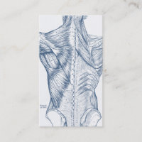 Bleu Médicale vintage de muscles du dos de dessin
