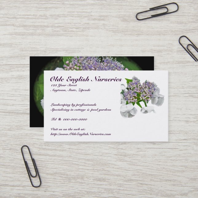 Carte de visite Blue Lace Hydrangea (Devant/Arrière en situation)