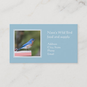 Carte De Visite Bluebird