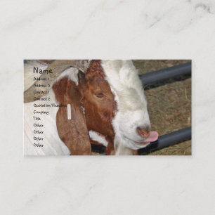 Carte De Visite Boer Goat Billy S'Éloigne De Sa Langue
