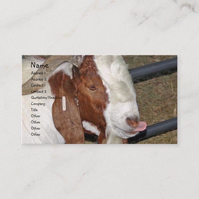 Carte De Visite Boer Goat Billy S'Éloigne De Sa Langue (Devant)