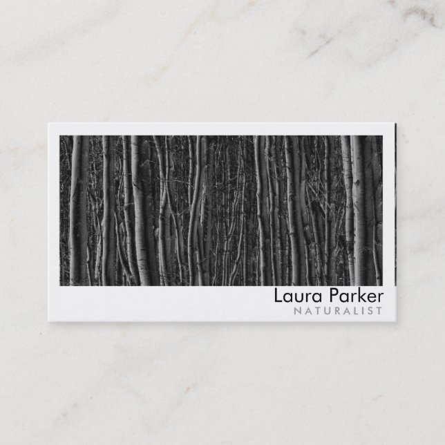 Carte De Visite Boisier naturel Entretien du paysage pelouse (Devant)