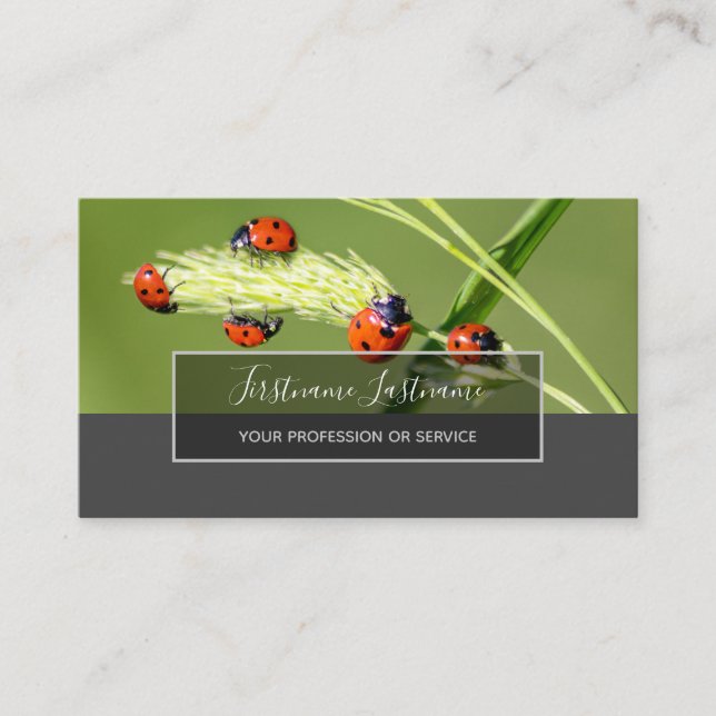 Carte De Visite Bonne chance ladybugs pointillés élégant rectangle (Devant)