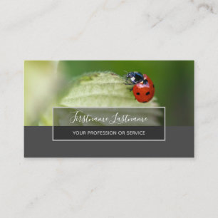 Carte De Visite Bonne chance ladybugs pointillés élégant rectangle
