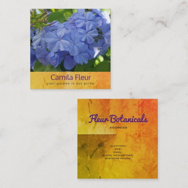 Carte de visite botanique de plumbago bleu (Devant / Derrière)