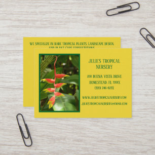 Carte De Visite Botany Green Plante Nursery Plantes tropicaux