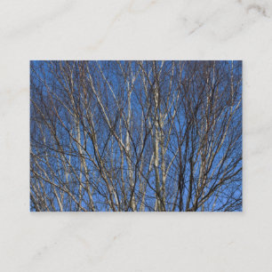 Carte De Visite Branches de bouleau d'argent 02