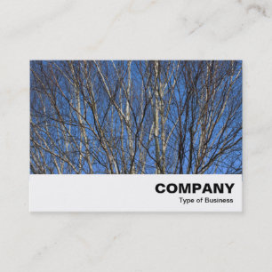 Carte De Visite Branches de bouleau d'argent 02