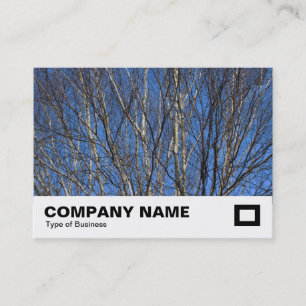 Carte De Visite Branches de bouleau d'argent 02