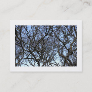 Carte De Visite Branches de l'arbre Magnolia (Bordé)