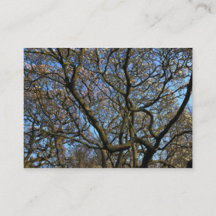 Carte De Visite Branches de Magnolia au début du printemps