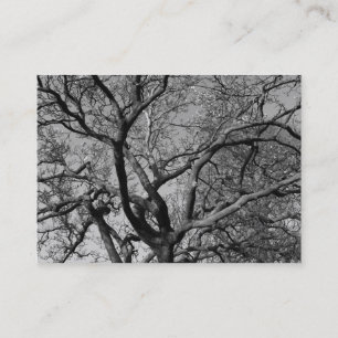 Carte De Visite Branches de Magnolia au début du printemps