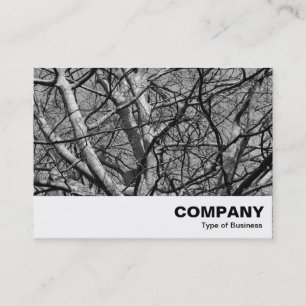 Carte De Visite Branches d'hiver illuminées (B&W)