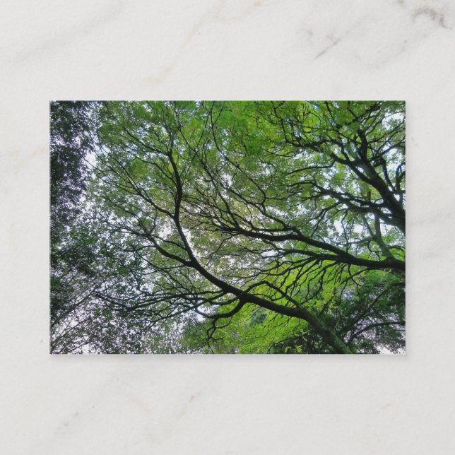 Carte De Visite Branches et Feuilles (Devant)
