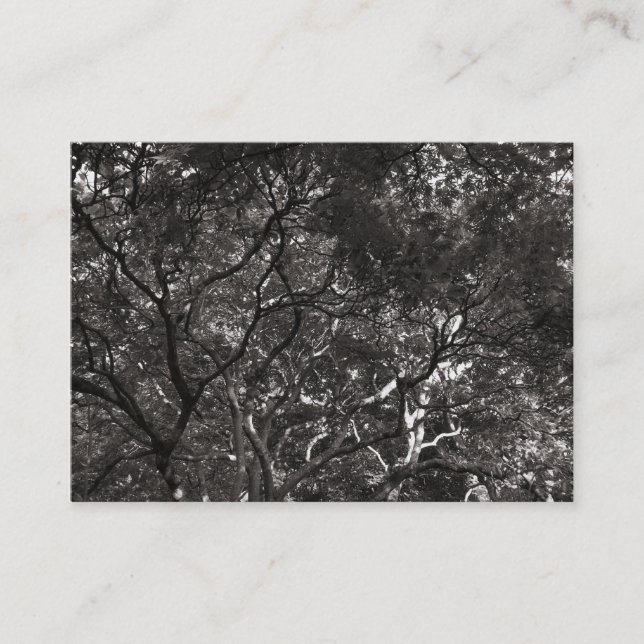 Carte De Visite Branches japonaises 01 (Devant)