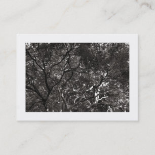 Carte De Visite Branches japonaises 01 (frontière)