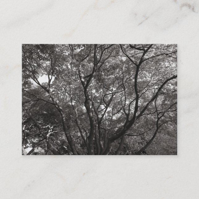 Carte De Visite Branches japonaises 02 (Devant)