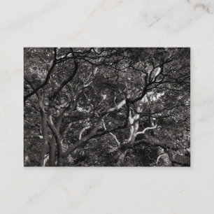 Carte De Visite Branches japonaises 03