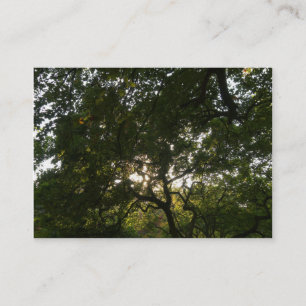 Carte De Visite Branches japonaises 04