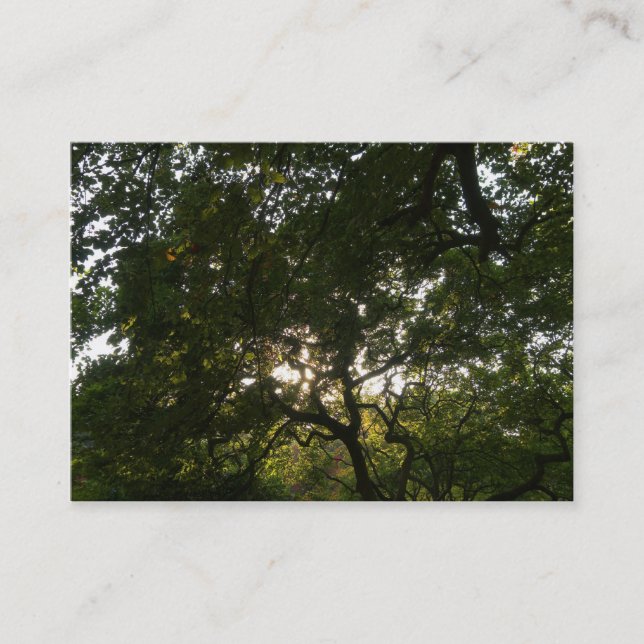 Carte De Visite Branches japonaises 04 (Devant)