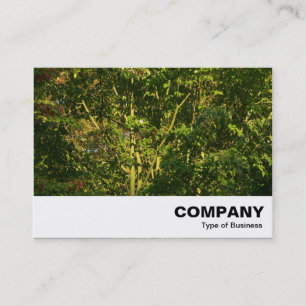 Carte De Visite Branches japonaises 05