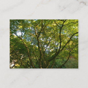 Carte De Visite Branches japonaises 06