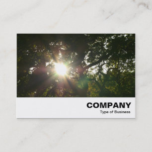 Carte De Visite Branches japonaises 07