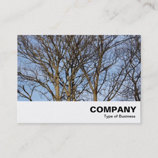 Carte De Visite Branches lumineuses (Devant)