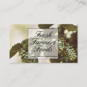 Carte De Visite Buds plantes   Hops de blé d'orge