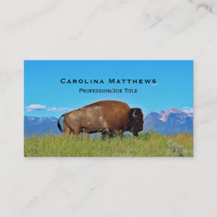 Carte De Visite Buffalo