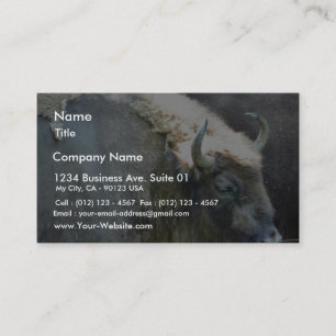 Carte De Visite Buffalo