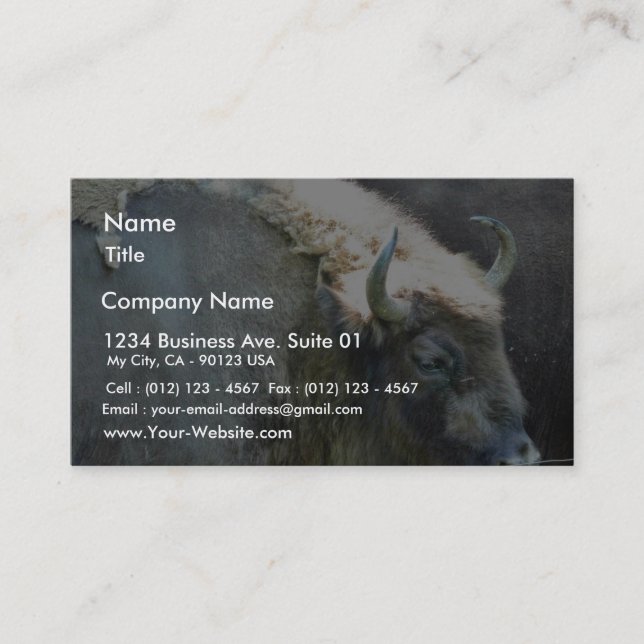 Carte De Visite Buffalo (Devant)