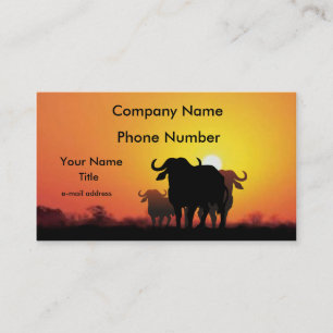 Carte De Visite Buffalo de cap