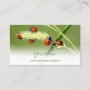 Carte De Visite Bugs heureux pour le bien-être sain bus