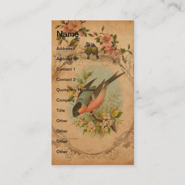 Carte De Visite Bulfinch Vintage (Devant)