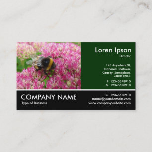 Carte De Visite Bumble Bee sur Sedum